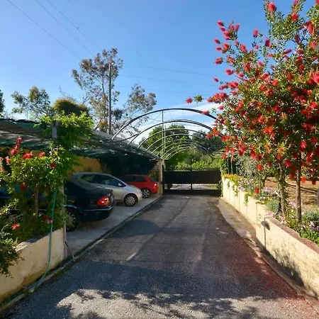 Little Red In Kompítsion