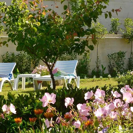 Little Red In Kompítsion