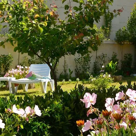 Little Red In Kompítsion