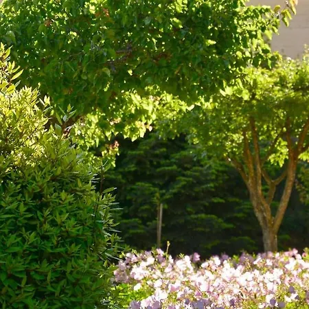 Little Red In Kompitsion