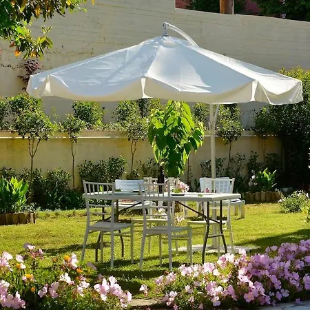 Little Red In Kompitsion