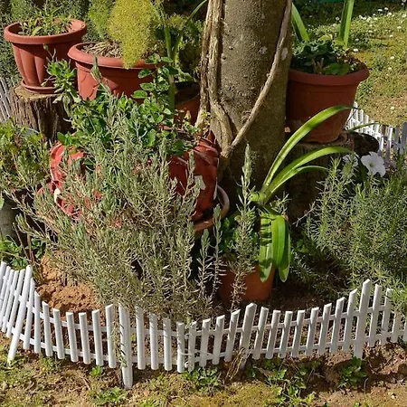 Casa vacanze Little Red In *